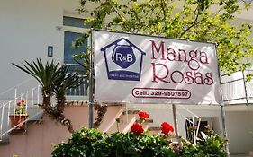 R&B Manga Rosas